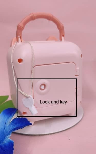 pig-shape-piggy-bank-3